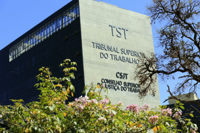 Foto em zoom da fachada lateral do edifício-sede do TST e do CSJT. No primeiro plano, há galhos com falhas e flores de uma árvore. 