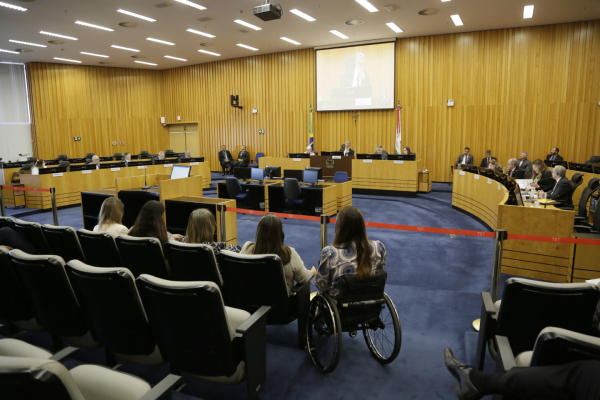 Foto da sala de sessão. Paredes com ripas de madeira amarelada e carpete azul marinho.